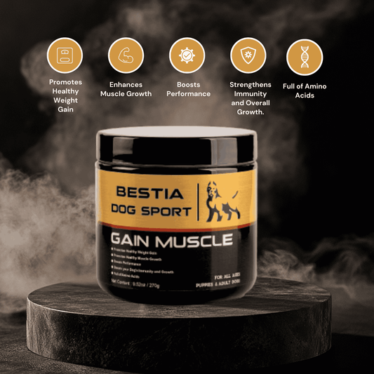 BDS Gain Muscle Dog Food Supplement